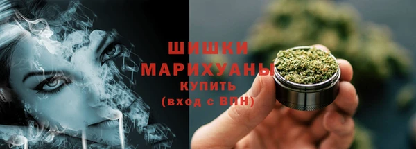 дурь Арсеньев