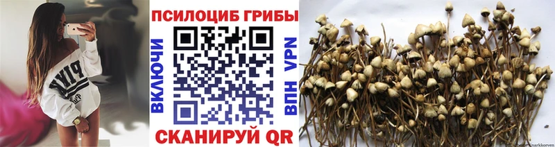 цены наркотик  Баймак  Галлюциногенные грибы мухоморы 